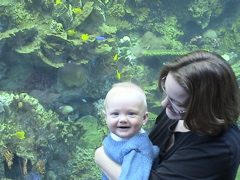 Wow!  The Atlanta Aquarium!